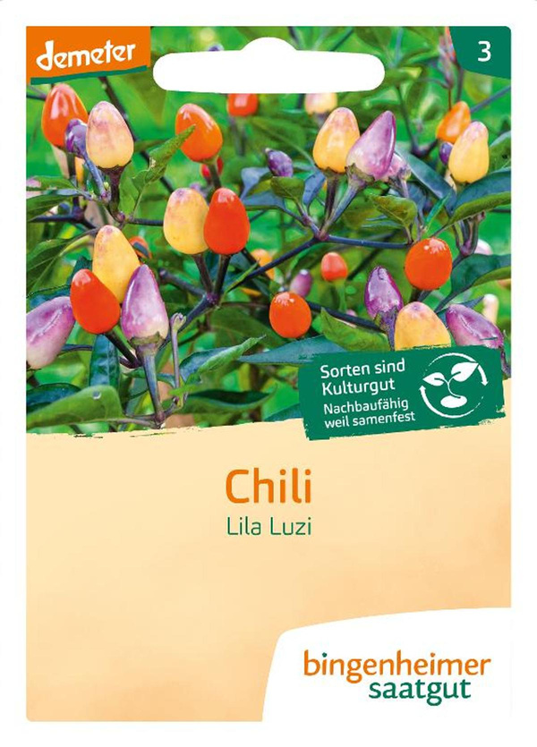 Produktfoto zu Saatgut Chili "Lila Luzi"