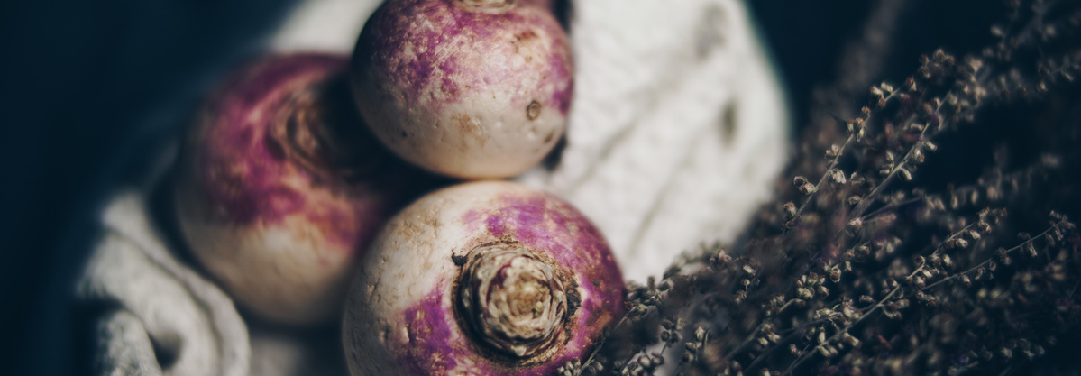 Warenkunde Obst und Gemüse in der Ökokiste