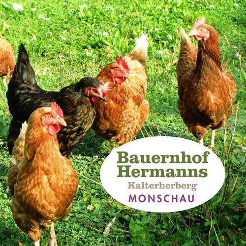 KI generiert: Hühner auf einer Wiese. Text: "Bauernhof Hermanns Kalterherberg Monschau".