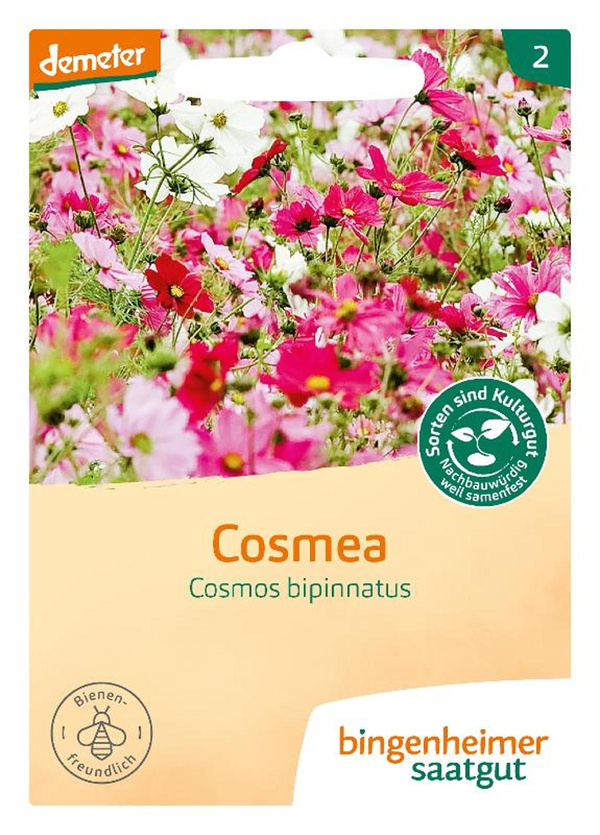 Produktfoto zu Saatgut Cosmea "Cosmos bipinnatus"Farbmischung
