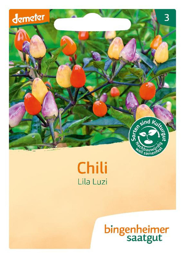 Produktfoto zu Saatgut Chili "Lila Luzi"
