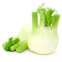 Fenchel
