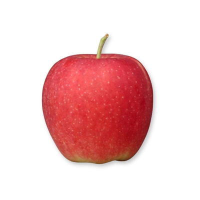 Produktfoto zu Apfel Sissired
