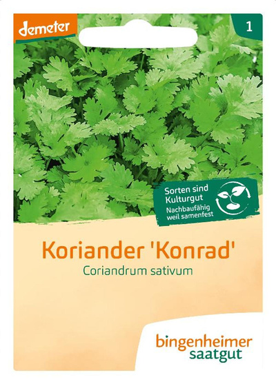 Produktfoto zu Saatgut Koriander "Konrad"