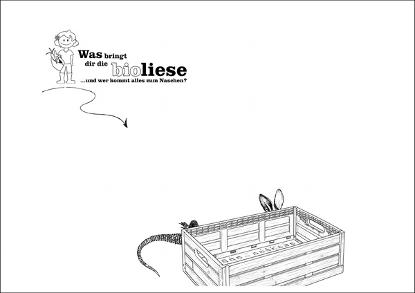 KI generiert: Ein Stundenplan mit Wochentagen, Uhrzeit und Platz für Notizen, dekoriert mit Zeichnungen von Obst und Gemüse.

Text: 
www.bioliese.de
Wir liefern Bio. Regional. Persönlich.