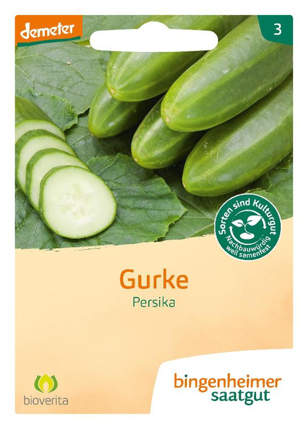 Produktfoto zu Saatgut Freilandgurke "Persika"