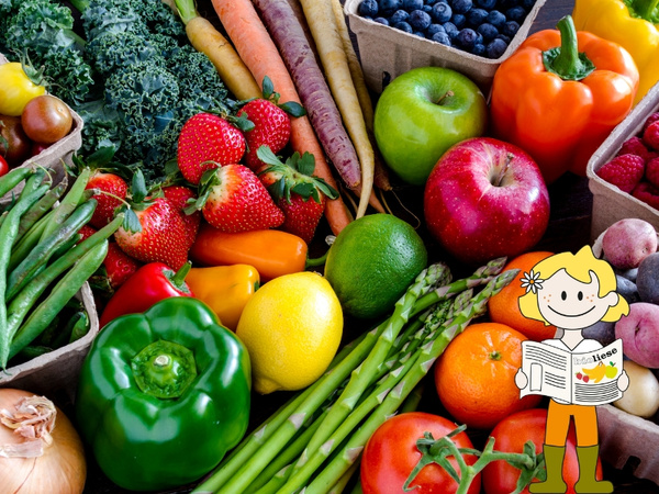 KI generiert: Das Bild zeigt eine Vielzahl von frischem Gemüse und Obst in einer grünen Kiste. Es hat den Titel "Warenkunde" mit dem Untertext "Was steckt in meiner Ökokiste?"