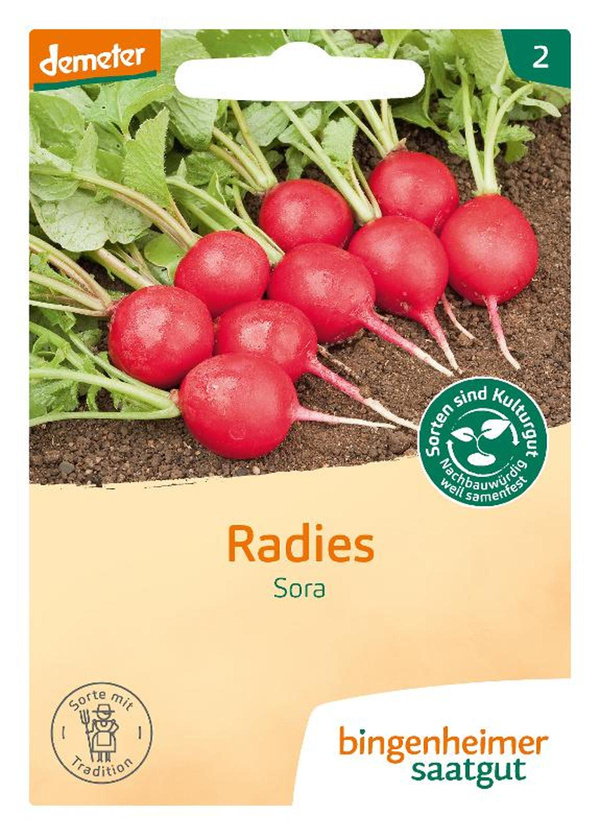 Produktfoto zu Saatgut Radieschen "Sora"