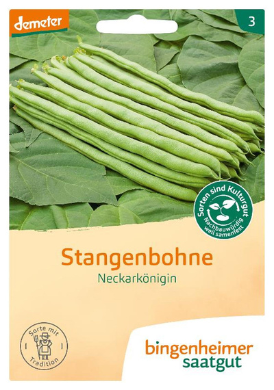 Produktfoto zu Saatgut Stangenbohne "Neckarkönigin"