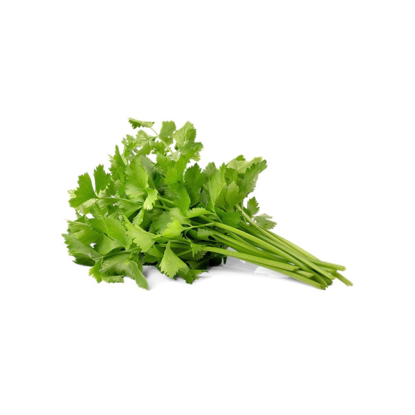 Produktfoto zu Koriander Bund