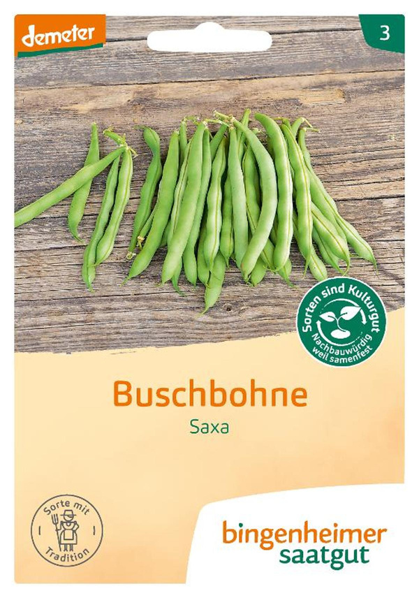 Produktfoto zu Saatgut Buschbohne "Saxa"