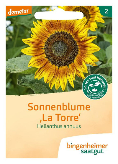 Produktfoto zu Saatgut Sonnenblume "La Torre"