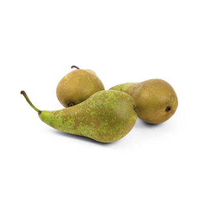 Produktfoto zu Birne Conference