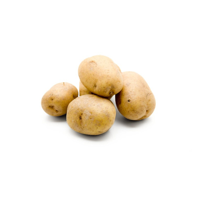 Produktfoto zu Speisefrühkartoffel Nicola 12,5kg