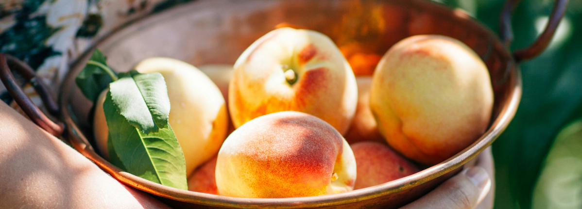 Warenkunde Obst und Gemüse in der Ökokiste