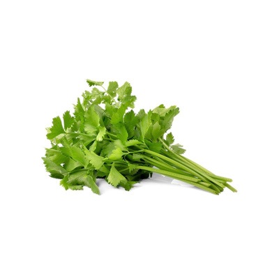 Produktfoto zu Koriander Bund