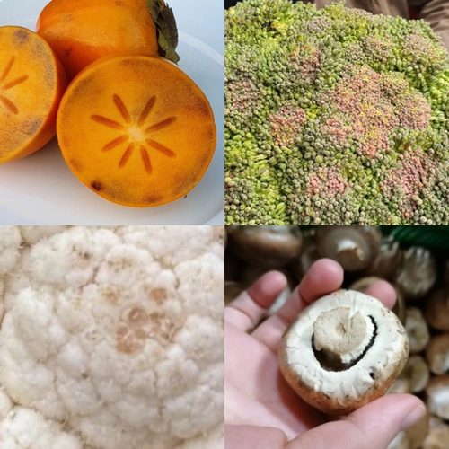 KI generiert: Vier Bilder von Obst und Gemüse: Kaki, Romanesco, Blumenkohl und Champignon.