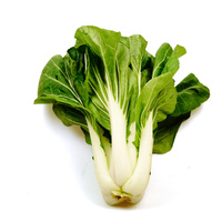 Pak Choi