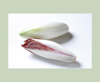 Produktfoto zu Chicorée gelb _ rot