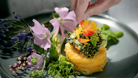 Rezeptbild für Grießrauten mit Staudenselleriegemüse