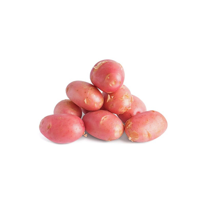 Produktfoto zu Speisefrühkartoffel Laura (rot) 1,5kg