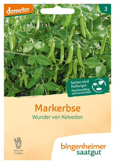 Produktfoto zu Saatgut Garten-Bande Markerbse "Wunder von Kelvedon"