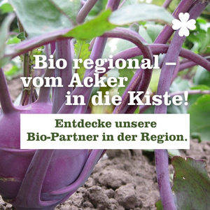 KI generiert: Nahaufnahme von violettem Kohlrabi mit Text: "Bio regional – vom Acker in die Kiste! Entdecke unsere Bio-Partner in der Region."