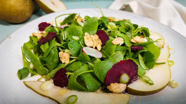 Rezeptbild für Wilder Wintersalat mit Postelein