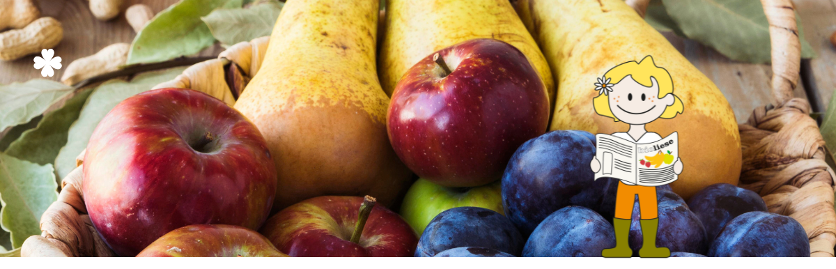 KI generiert: Das Bild zeigt eine Auswahl an Wurzelgemüsen, darunter lila Karotten, Pastinaken und eine Steckrübe, auf einem Holztisch arrangiert.