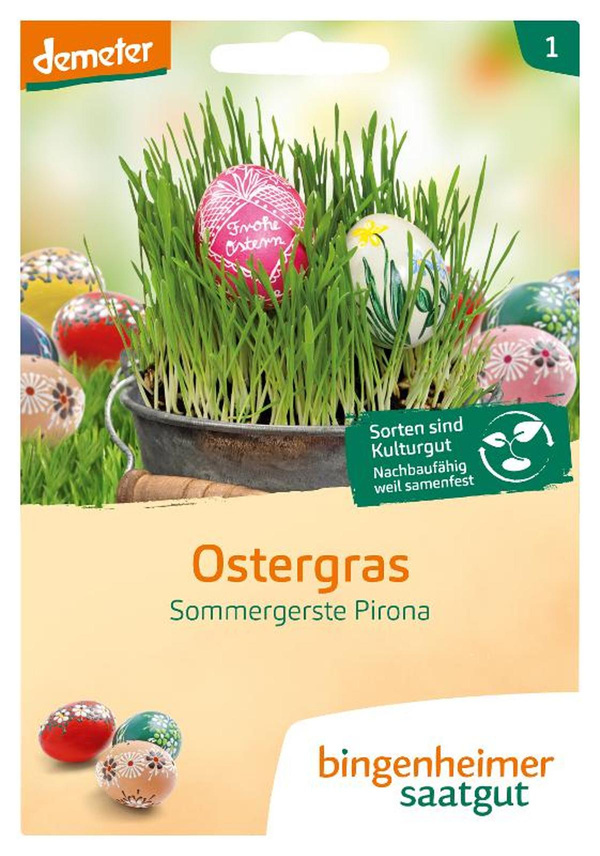 Produktfoto zu Saatgut "Ostergras"