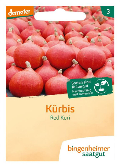 Produktfoto zu Saatgut Hokkaidokürbis "Red Kuri"