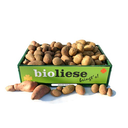 Produktfoto zu kartoffelLiese mehlig