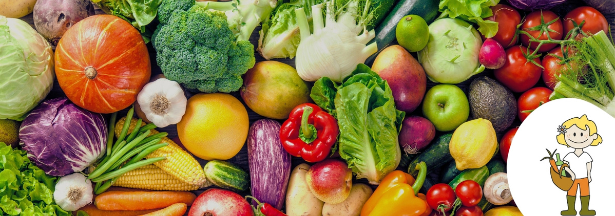 Mehrwegkiste der Ökokiste Bosshammersch Hof mit aufschrift Allgemeine Geschäftsbedingungen