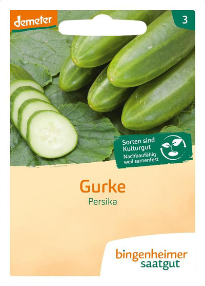 Produktfoto zu Saatgut Freilandgurke "Persika"