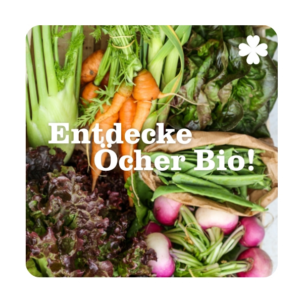 KI generiert: Frisches Bio-Gemüse, darunter Karotten und Radieschen. Text: "Entdecke Öcher Bio!"