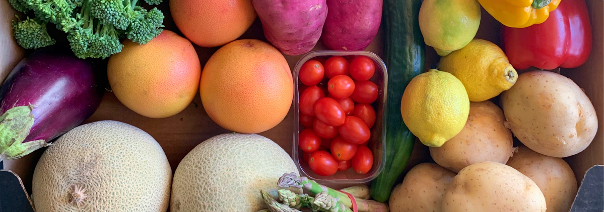 Grüne Mehrwegkiste der Ökokiste Bosshammersch Hof mit Aufschrift Datenschutz