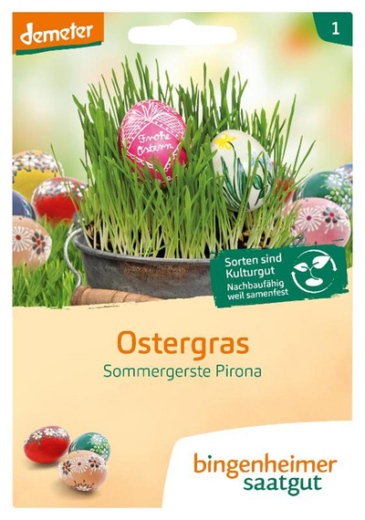 Produktfoto zu Saatgut "Ostergras"