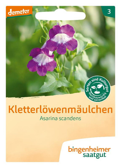 Produktfoto zu Saatgut Kletterlöwenmäulchen"Asarina Scandens"