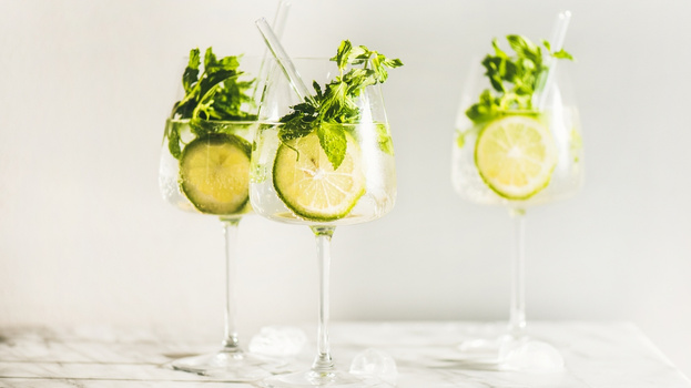 Rezeptbild für Holler-Hugo