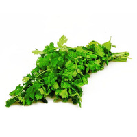 KI generiert: Das Bild zeigt einen frisch aussehenden Bund Koriander mit grünen Blättern und Stängeln. Er liegt auf einem weißen Hintergrund und hebt sich deutlich hervor.