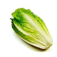 Romanasalat