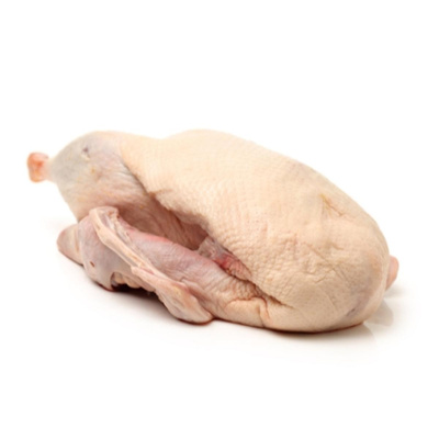 Produktfoto zu Ente (2-3kg)