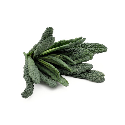 Produktfoto zu Schwarzkohl _ Palmkohl