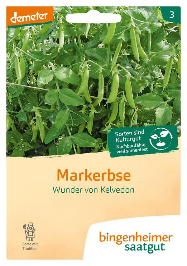 Produktfoto zu Saatgut Garten-Bande Markerbse "Wunder von Kelvedon"