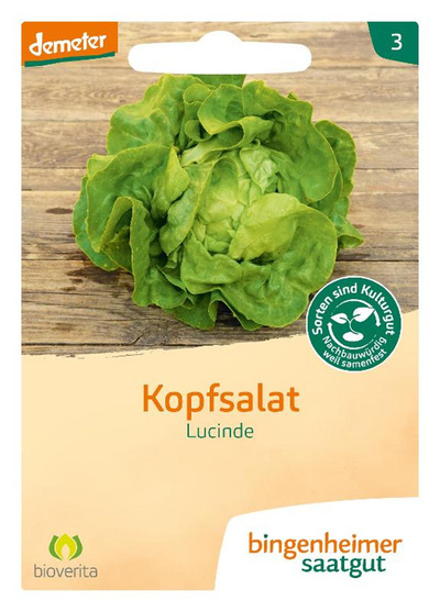Produktfoto zu Saatgut Kopfsalat "Lucinde"