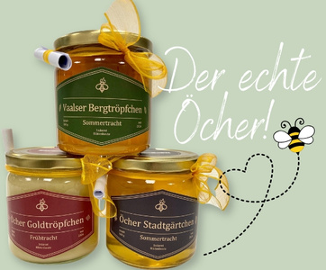 Blütenbeute: Honig aus Aachen