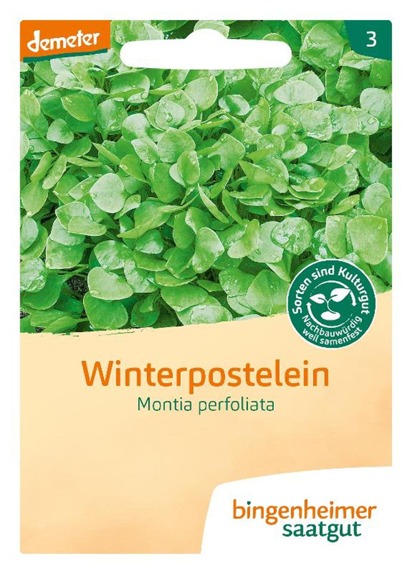 Produktfoto zu Saatgut Winterpostelein "Montia perfoliata"