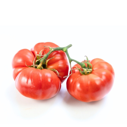 KI generiert: Zwei Tomaten auf weißem Hintergrund.