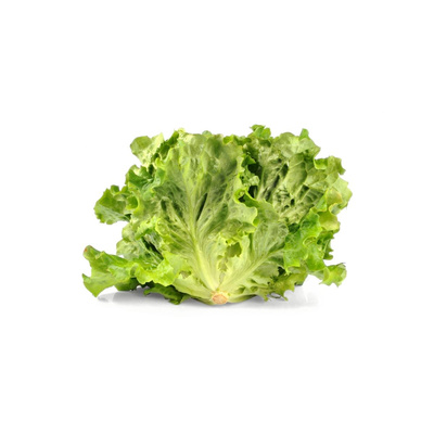 Produktfoto zu Batavia Salat